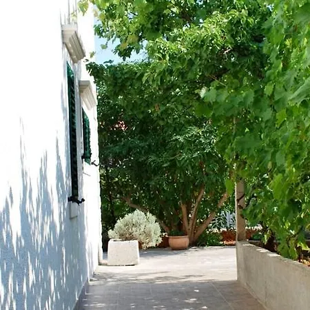 Ana Apartamento