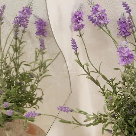 Ana Apartamento Sutivan
